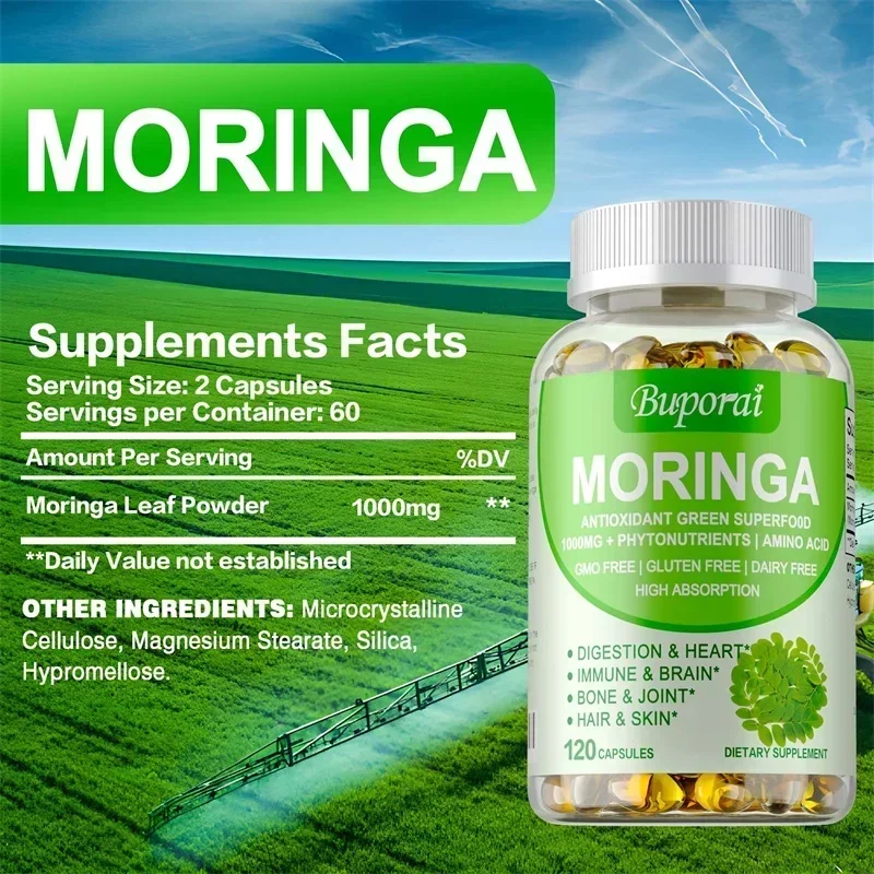 모링가 캡슐 - 신진대사를 촉진하고, 손상된 세포 수리 - Moringa Leaf Powder 리뷰 및 가격